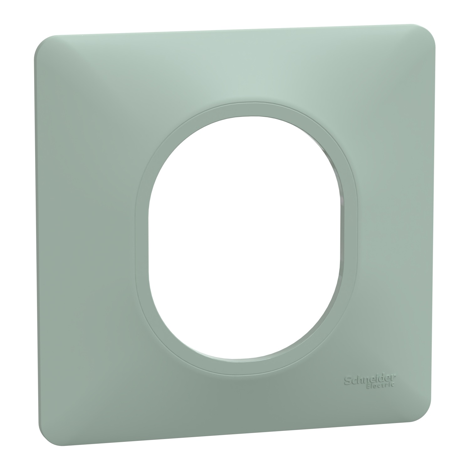 Schneider Electric Green 1 Gang Light Switch Cover