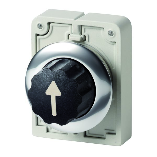 Eaton 3 Position 60° Changeover Cam Switch, Button Actuator