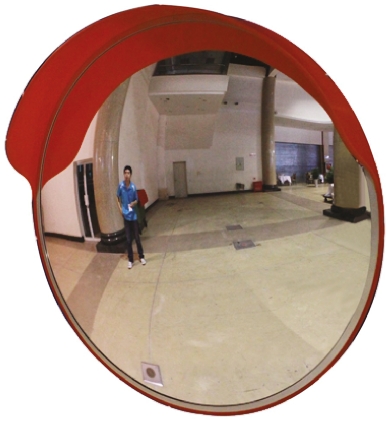 RS PRO PC Indoor, Outdoor Mirror, Circular