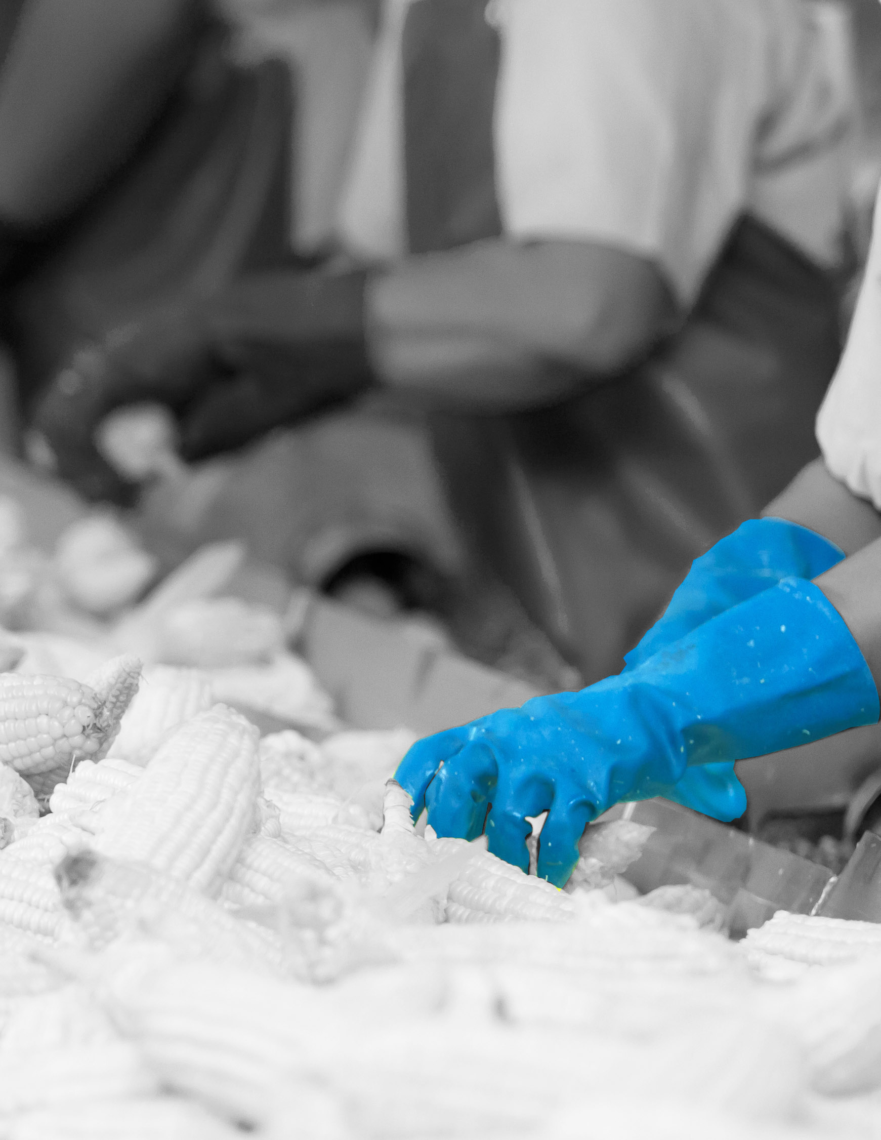 Polyco Healthline Blue Nitrile Disposable Gloves, Size XL, 24 per Pack