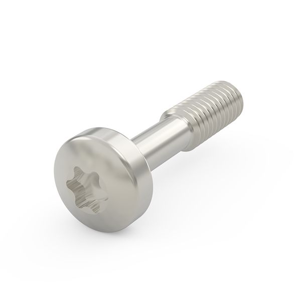 nVent SCHROFF 21101 Series Screw for Use with Front Panels, M2.5mm Thread, 100 Piece(s), 12.3mm