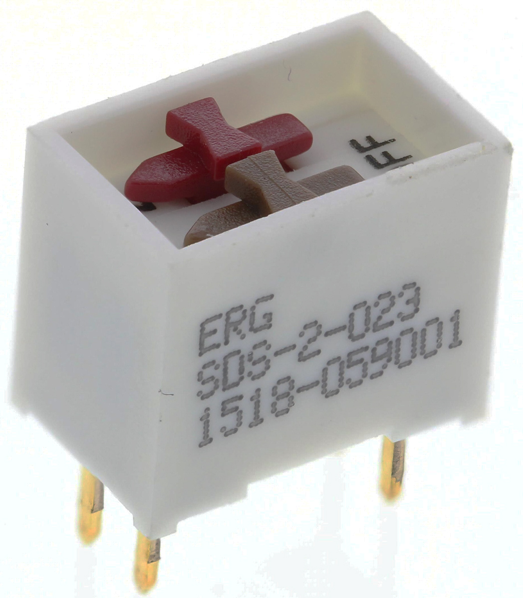 ERG 2 Way Through Hole DIP Switch DPST