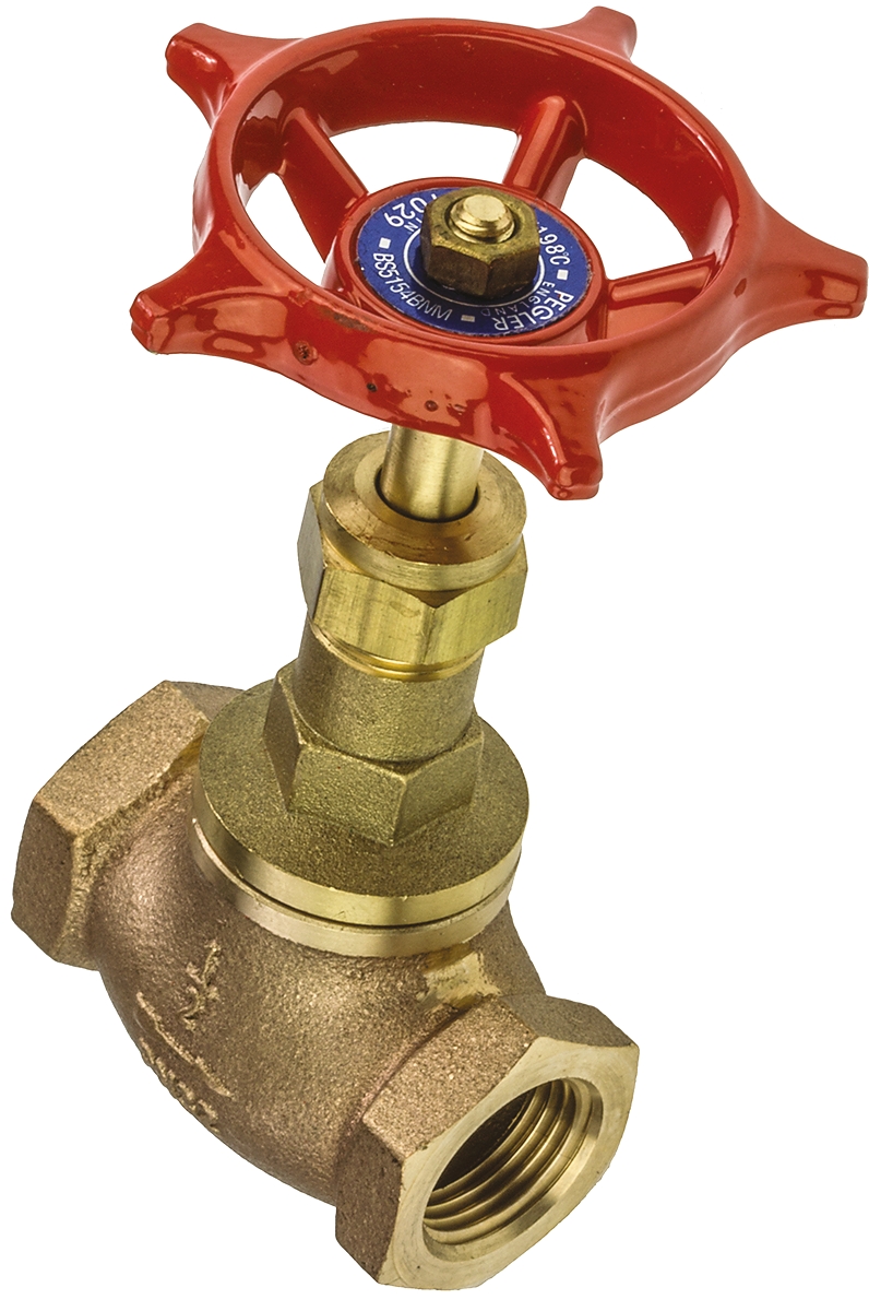 Pegler Yorkshire Bronze Globe Valve 110007, 1/2 in BSPT 32 bar