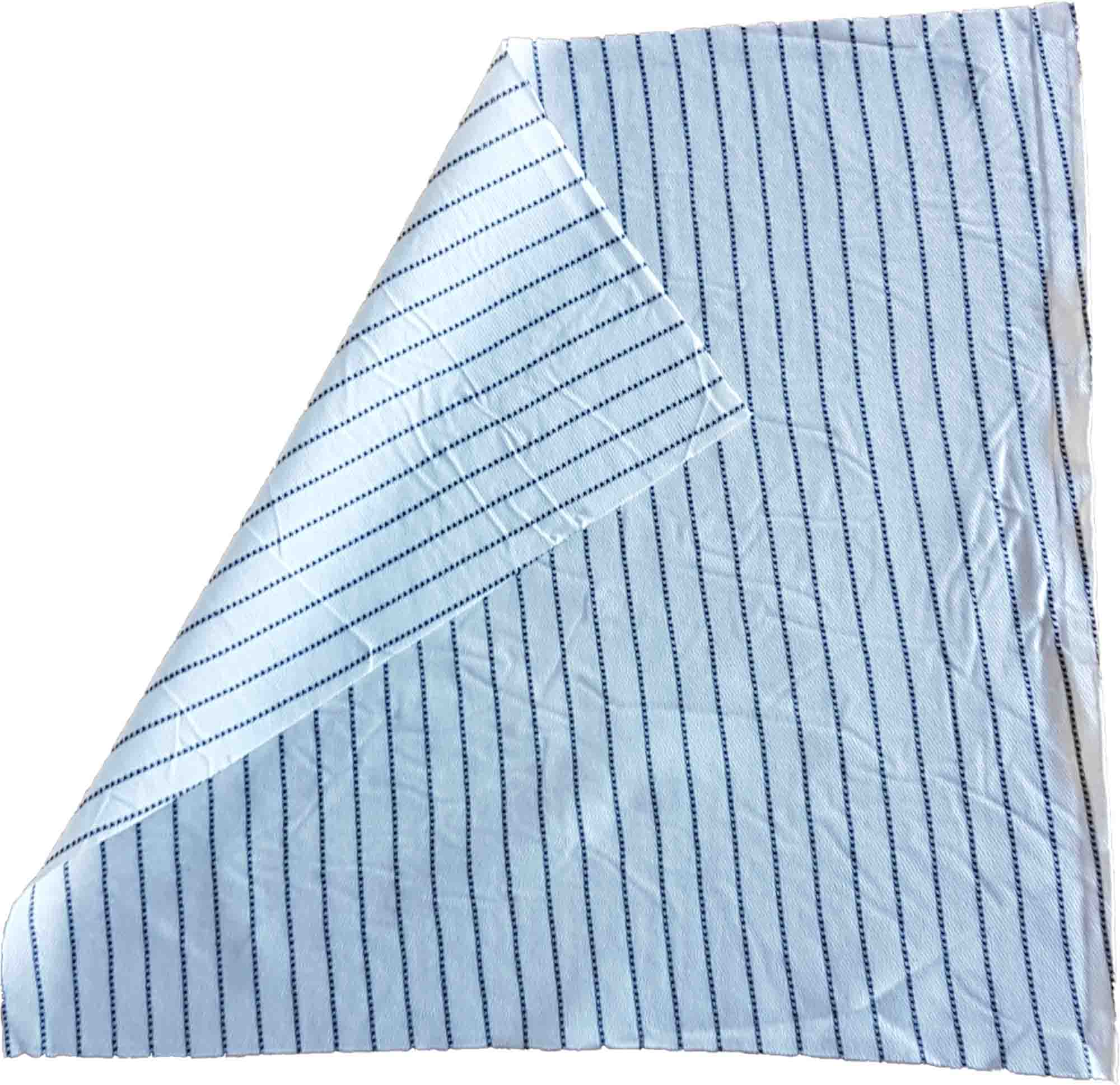EUROSTAT Wipers Cloths, Pack of 300