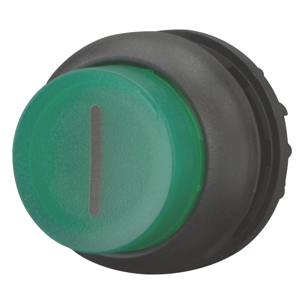 series M22 Series Illuminated Illuminated Push Button Switch, Momentary, Spring Return, Threaded, 22.5mm Cutout, Green