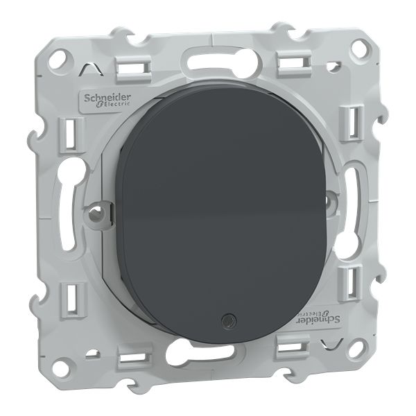 Schneider Electric Anthracite Rocker Switch Grid Module 10A, Ovalis Series