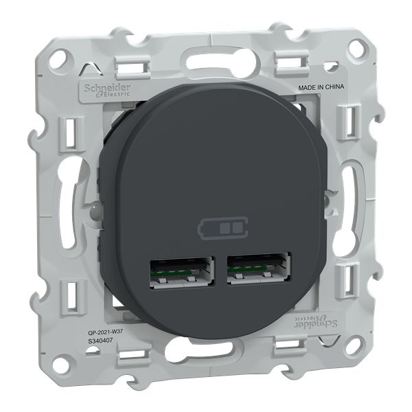 Schneider Electric Straight, Screw, Socket- Dual Port Type Type A USB A IP20 USB Connector