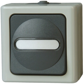Kopp Grey Wet Room Switch