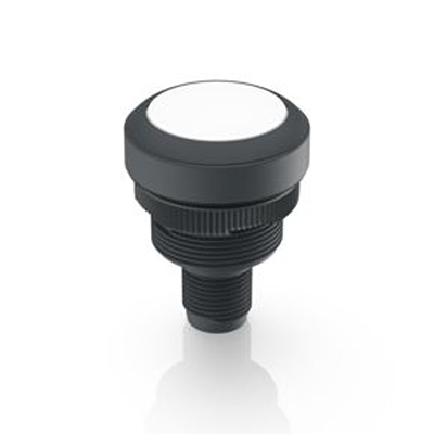 RAFI RAMO 22 T Series Illuminated Illuminated Push Button Switch, Momentary, Through Hole, 22.3mm Cutout, 1 NO, White