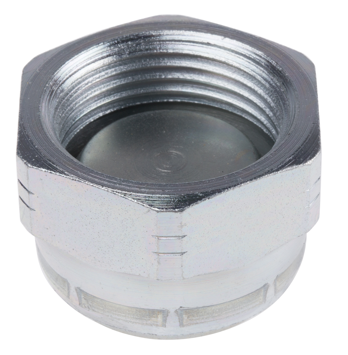 G 1 Steel Hydraulic Blanking Cap, 210 bar Max Operating Pressure