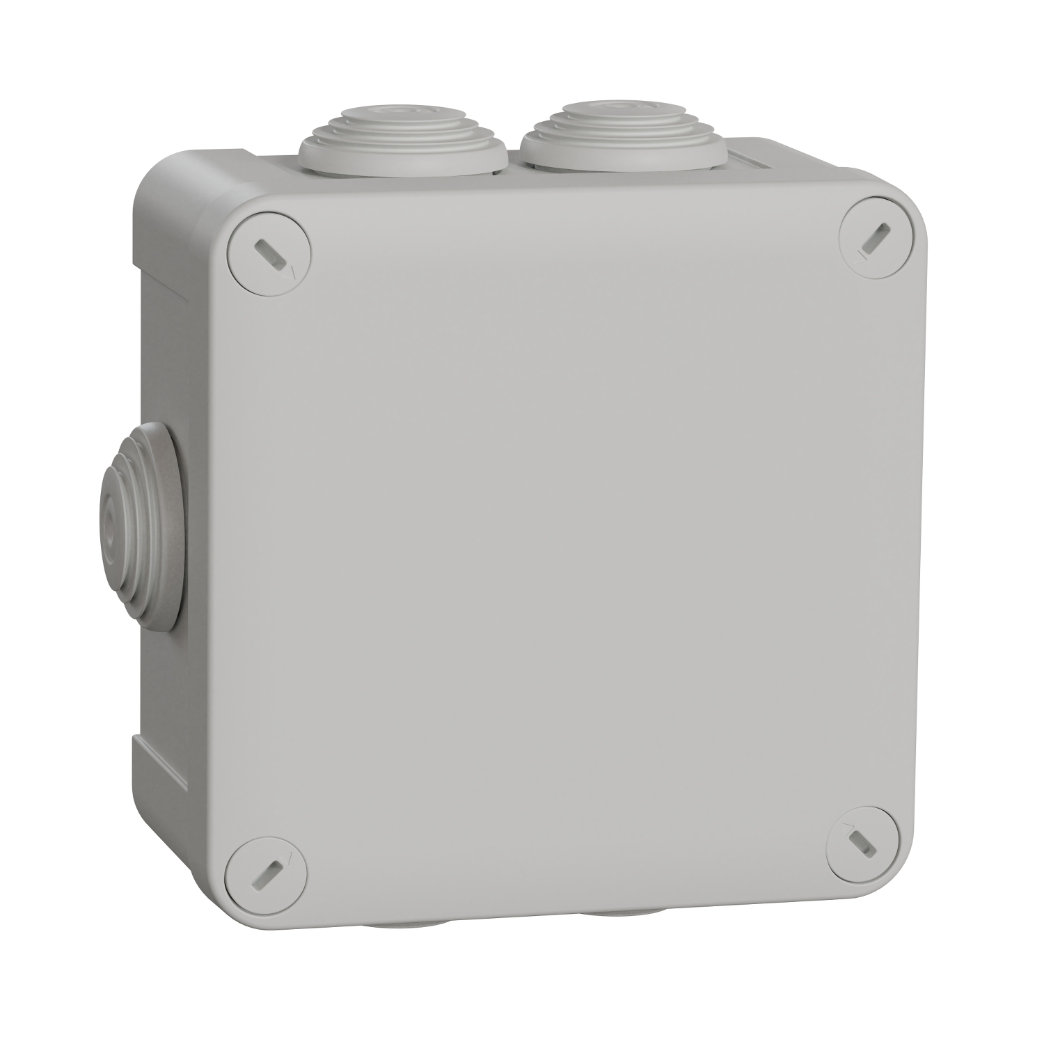 Schneider Electric Junction Box, IP55