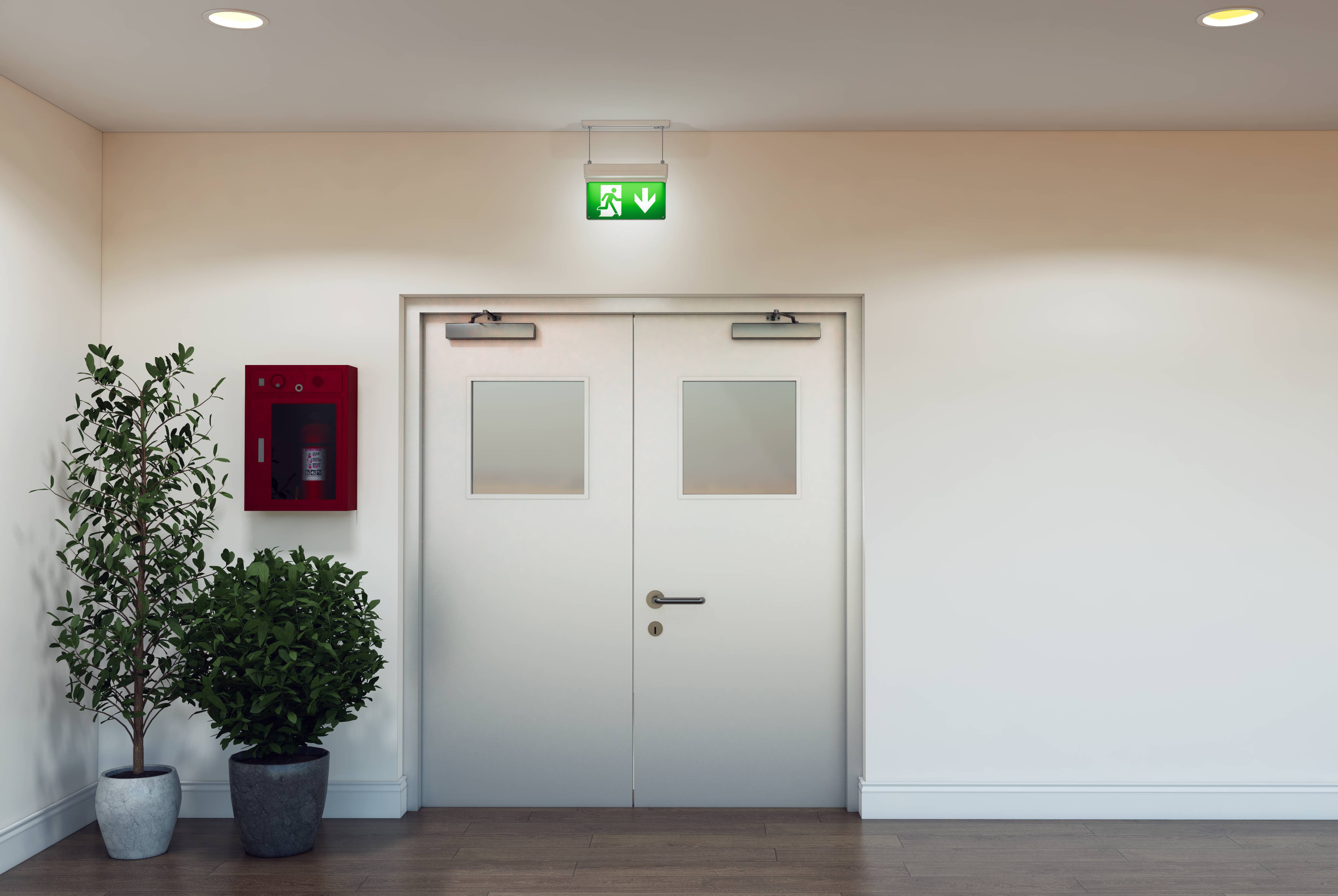 Ansell Lighting LED Emergency Exit Sign, Surface Mount, 3 W, Maintained, Non Maintained