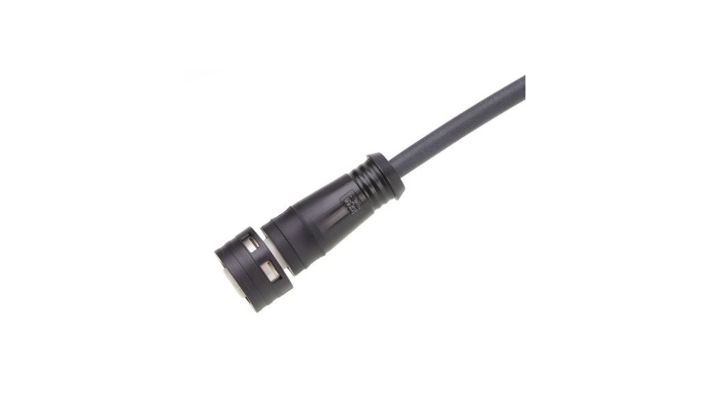 Molex Female 4 way M12 to Cordset, 1 m
