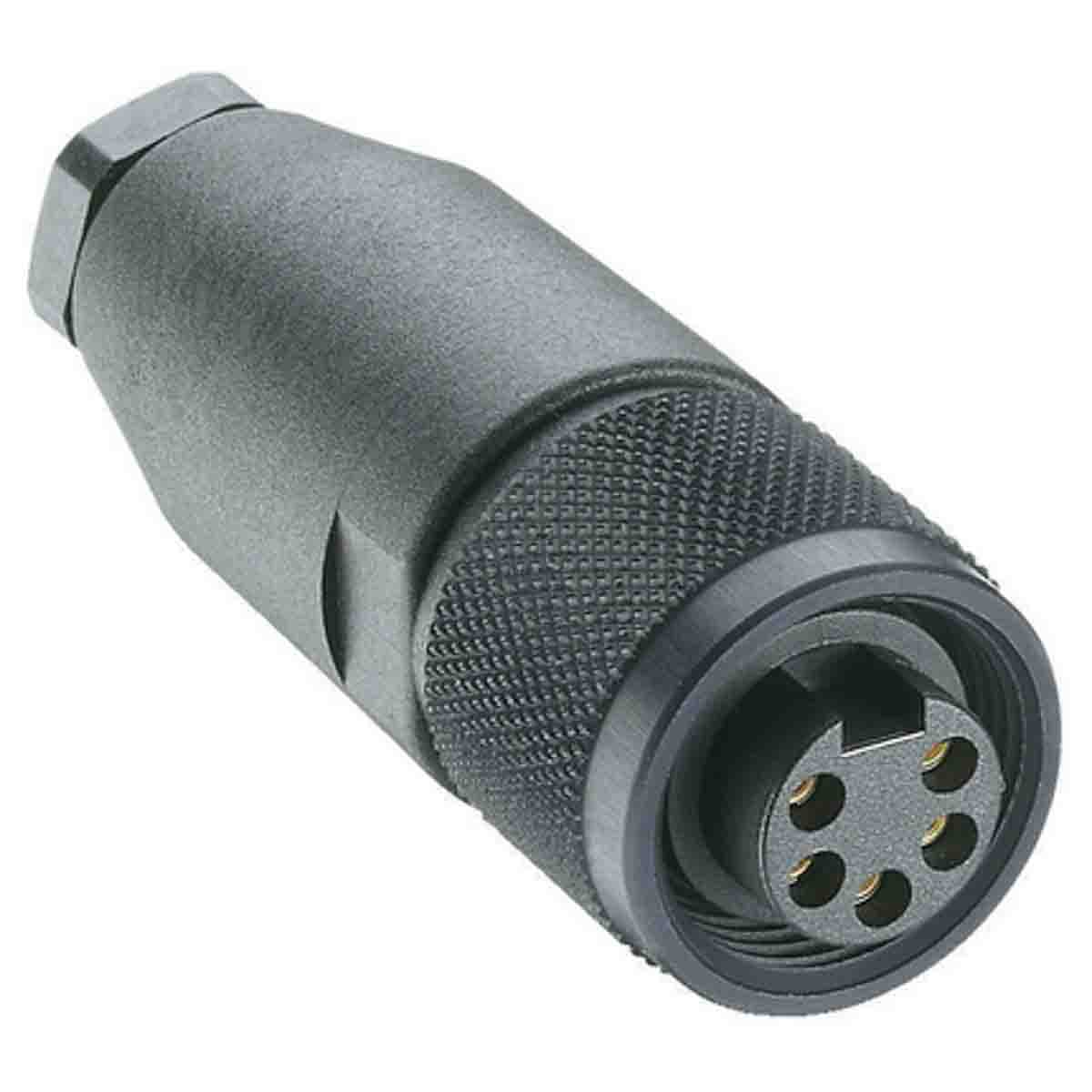 Lumberg Automation Circular Connector, 5 Contacts, Cable, 7/8 in Connector, Socket, Female, IP67, RKC Series