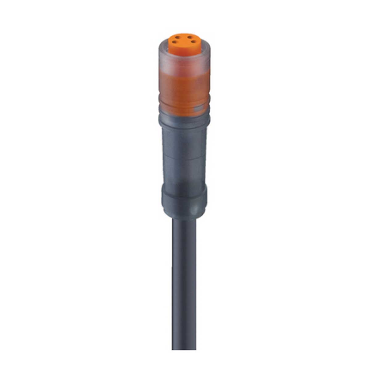Lumberg Automation Female 4 way Free End Sensor Actuator Cable, 5 m