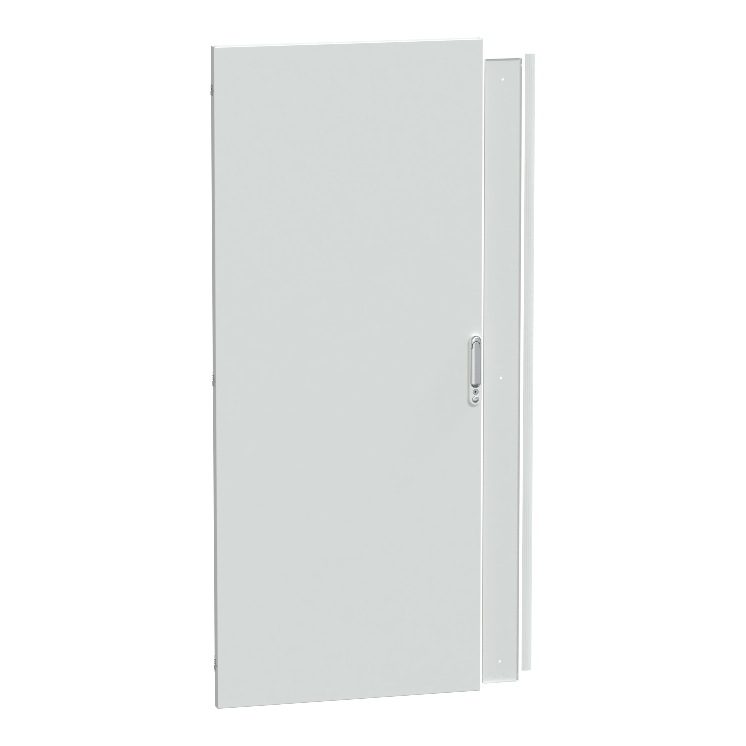 Schneider Electric PrismaSeT Series Sheet Steel Plain Door for Use with PrismaSeT (PrismaSeT P) Cubicle, 2000 x 800 x