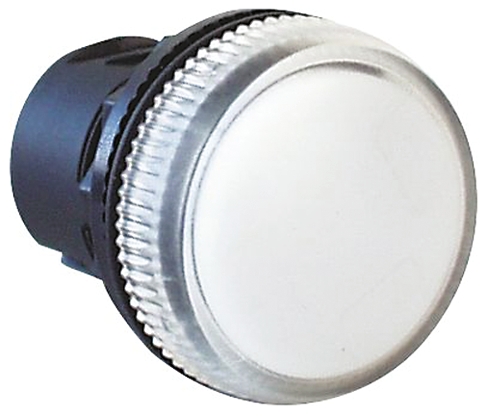 Allen Bradley White Pilot Light Head, 22mm Cutout 800F Series
