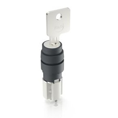 RAFI IP40 Key Switch 45-Way Tubular-Key