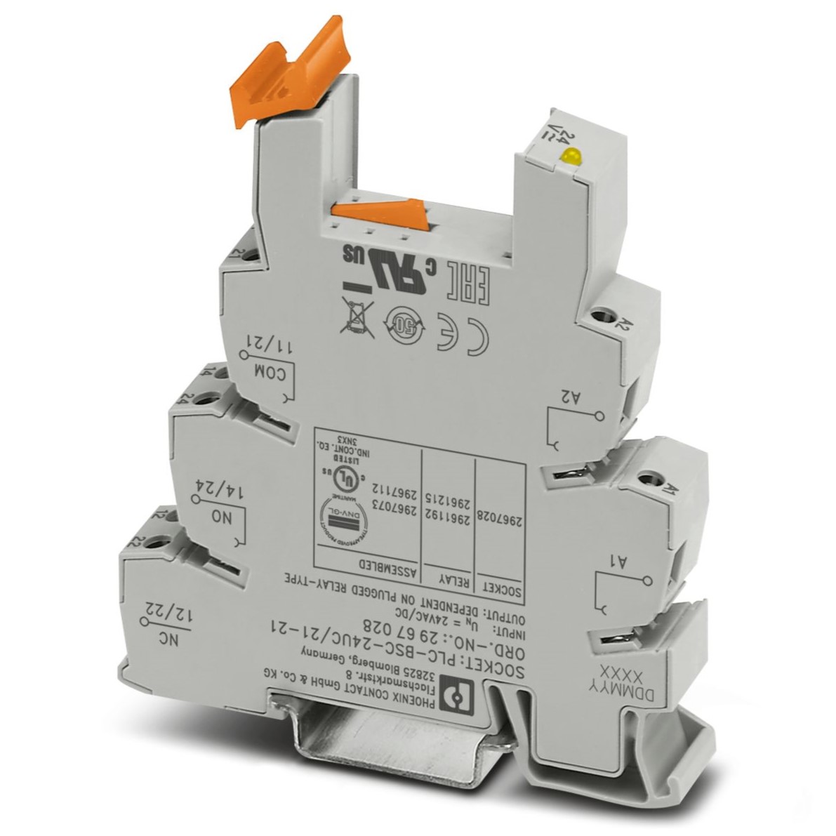 Phoenix Contact PLC-BSC 2 Pin 24V ac/dc DIN Rail Relay Socket