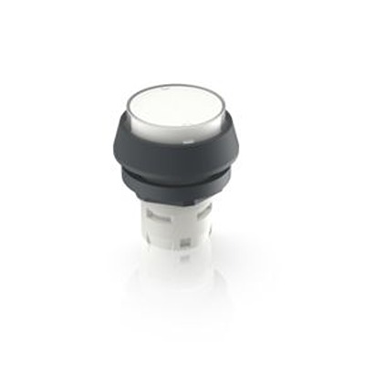RAFI Pushbutton Actuator for Use with RAFIX 22