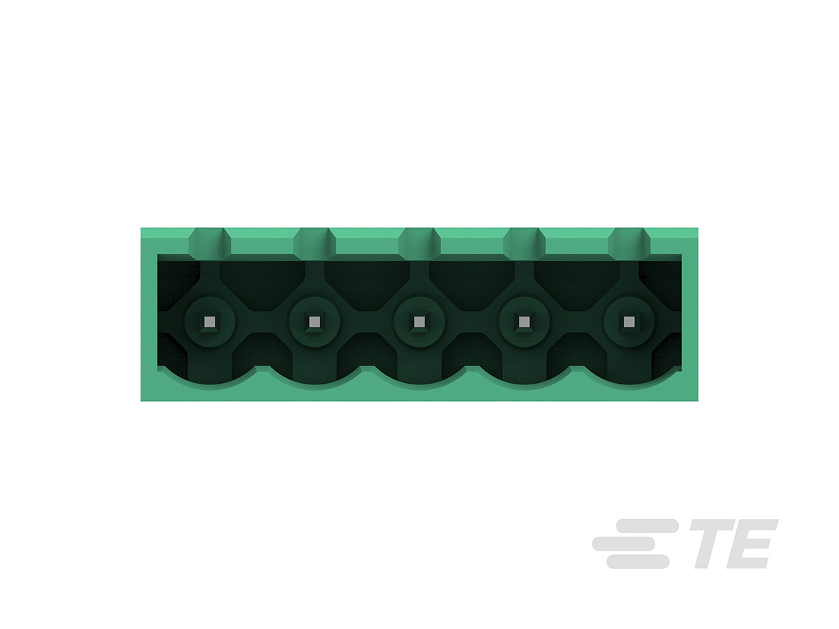 TE Connectivity Buchanan Series Pluggable Terminal Block, 6-Contact, 5 mm Pitch, 1-Row