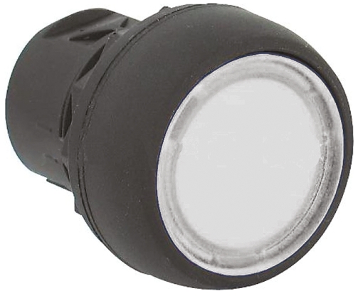 Allen Bradley 800F Series White Momentary Push Button Head, 22mm Cutout, IP65