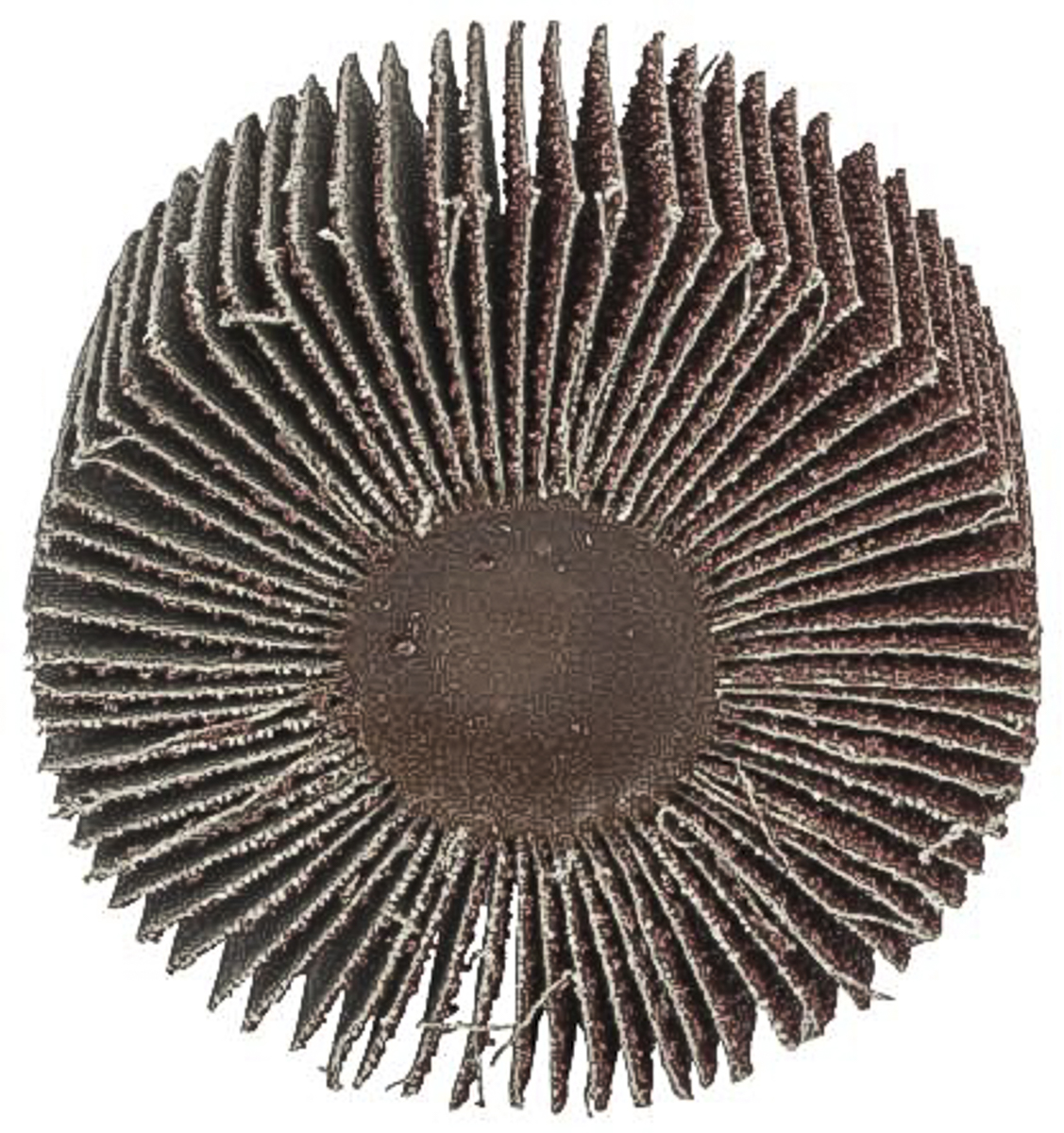 3M 339 Aluminium Oxide Flap Wheel, 80mm Diameter, P80 Grit