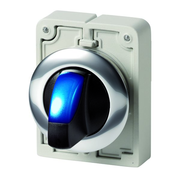 Eaton Toggle Selector Switch - 30mm Cutout Diameter, Illuminated 2 Positions