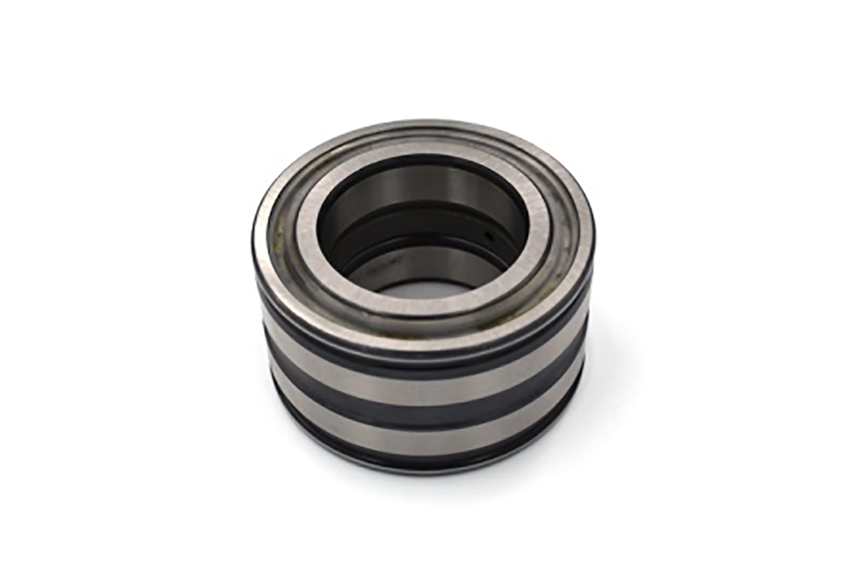 INA SL045004-PP 20 mm ID Roller Bearing, 42 mm OD