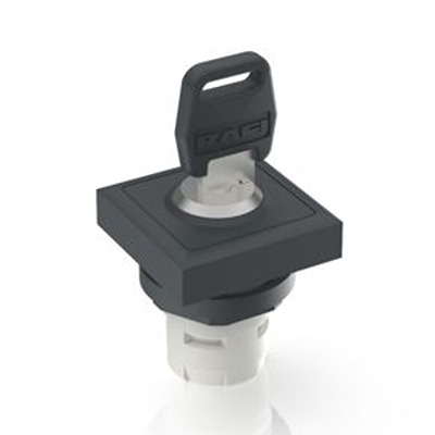 RAFI IP65 Key Switch 2-Way Flat-Key