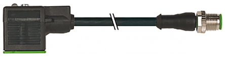 Murrelektronik Limited DIN 43650 Connector