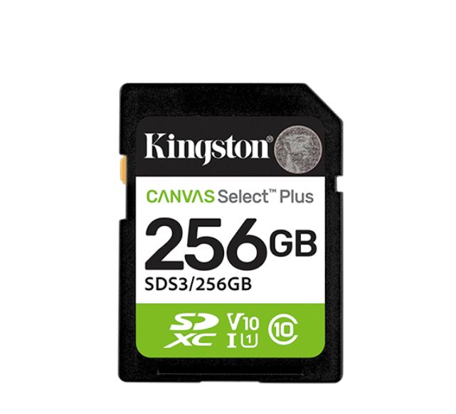 256 GB SDXC SD Card, Class 10, UHS-I