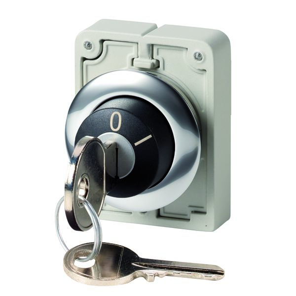 Eaton IP64 Keylock Switch 2-Way Ronis-Key