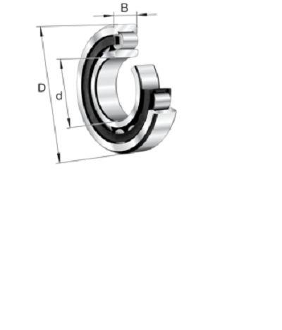 FAG NU2211-E-XL-TVP2 55 mm ID Roller Bearing, 100 mm OD