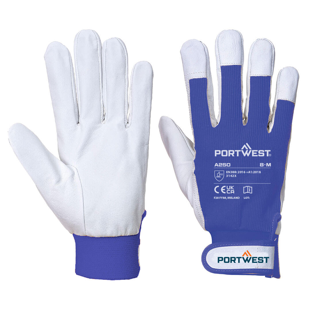 Portwest Hand Protection Blue Cotton, Leather, Polyester Work Gloves, Size M