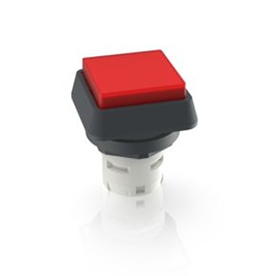 RAFI Push Button Bezel for Use with Pushbutton