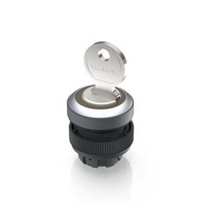 RAFI IP65 Key Switch 421-Way Tubular-Key