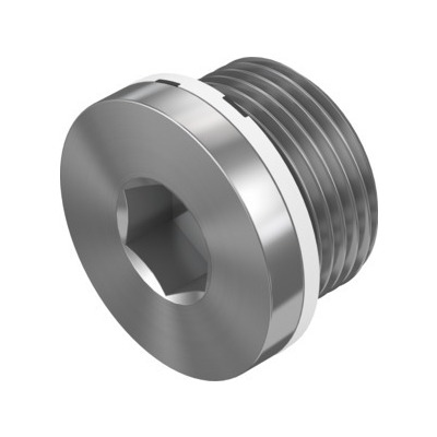 Festo 3/4 in Male Galvanised Steel Blanking Plug