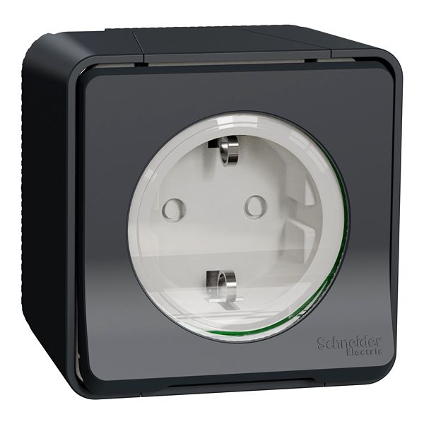Schneider Electric Mureva Styl Black, White Plug Socket, 2P + E Poles, 16A, Indoor, Outdoor Use