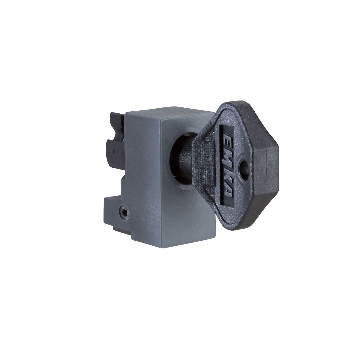 Schneider Electric PanelSeT Series 8mm Triangular Lock Insert For Use With SD, SF, Spacial SM, Thalassa PLA