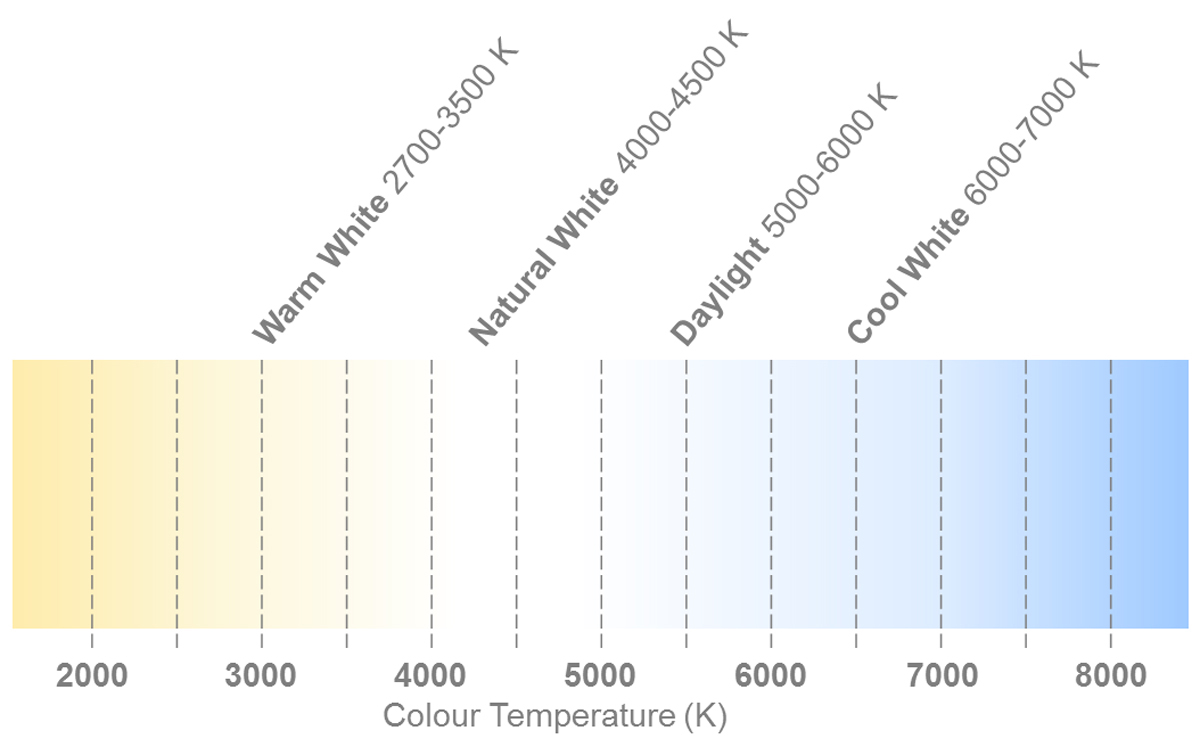 Cree LED4 V White LED 5mm Through Hole, C503C-WAS-CBBDB152