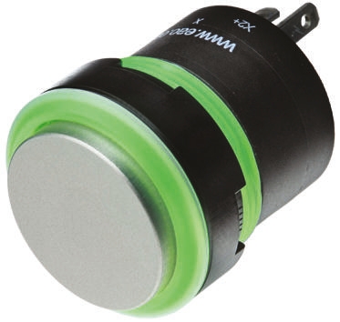 EAO Silver Illuminated Momentary Push Button Head, 22.5mm Cutout, IP67