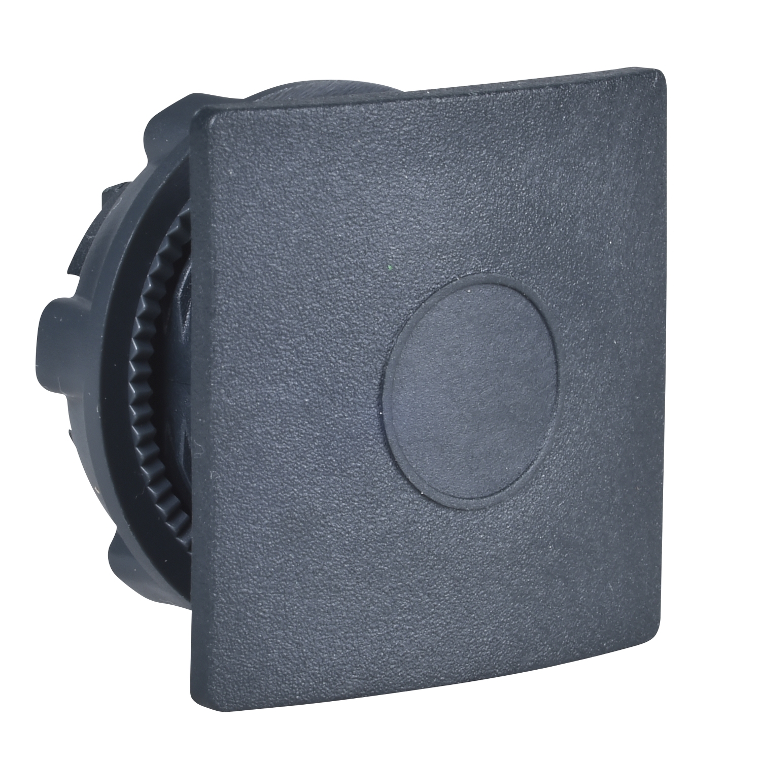 Schneider Electric Rocker Switch Blanking Plug for use with Blanking plug