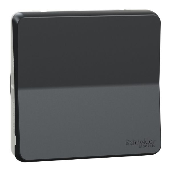 Schneider Electric Grey Push Button Light Switch, Mureva Styl