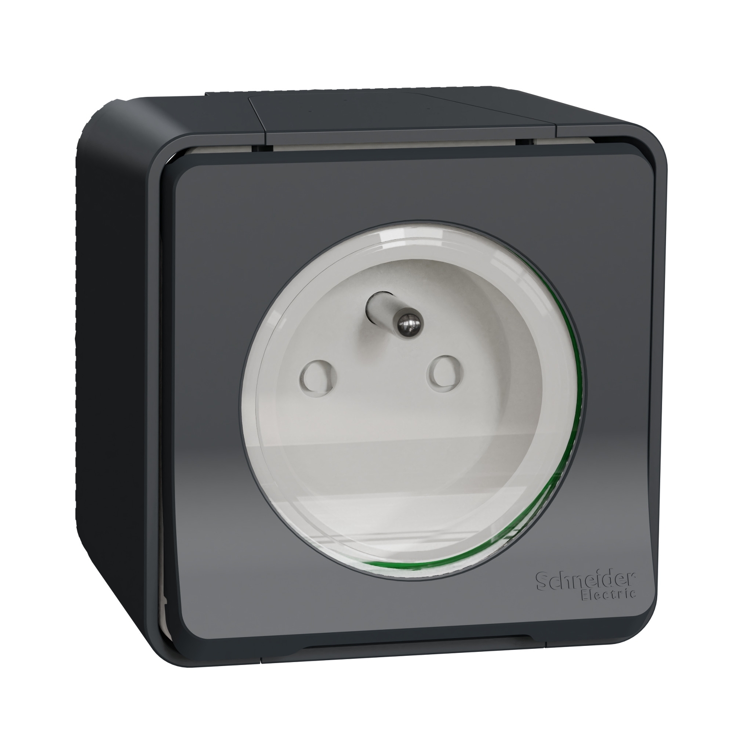 Schneider Electric Grey 1 Gang Plug Socket, 2 Poles, 16A, French 2P, Indoor, Outdoor Use