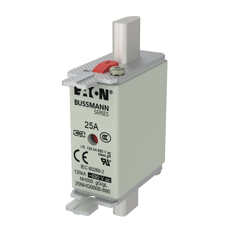 Eaton 25A Tag Fuse, 21 x 79mm, 690V
