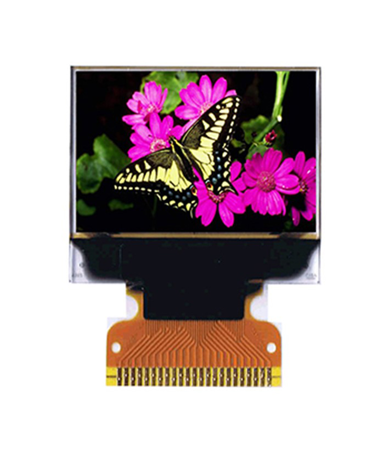 Midas Blue, Green, Red Passive matrix OLED Display 96 x 64pixels COG Parallel, SPI Interface