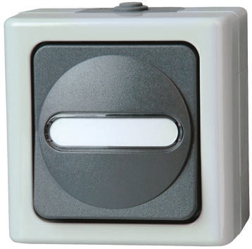 Kopp Grey Wet Room Switch