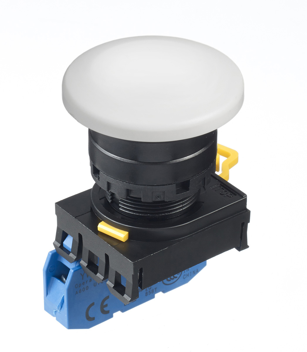 Idec YW Series Illuminated Push Button Complete Unit, Panel Mount, 22mm Cutout, SPST, IP65