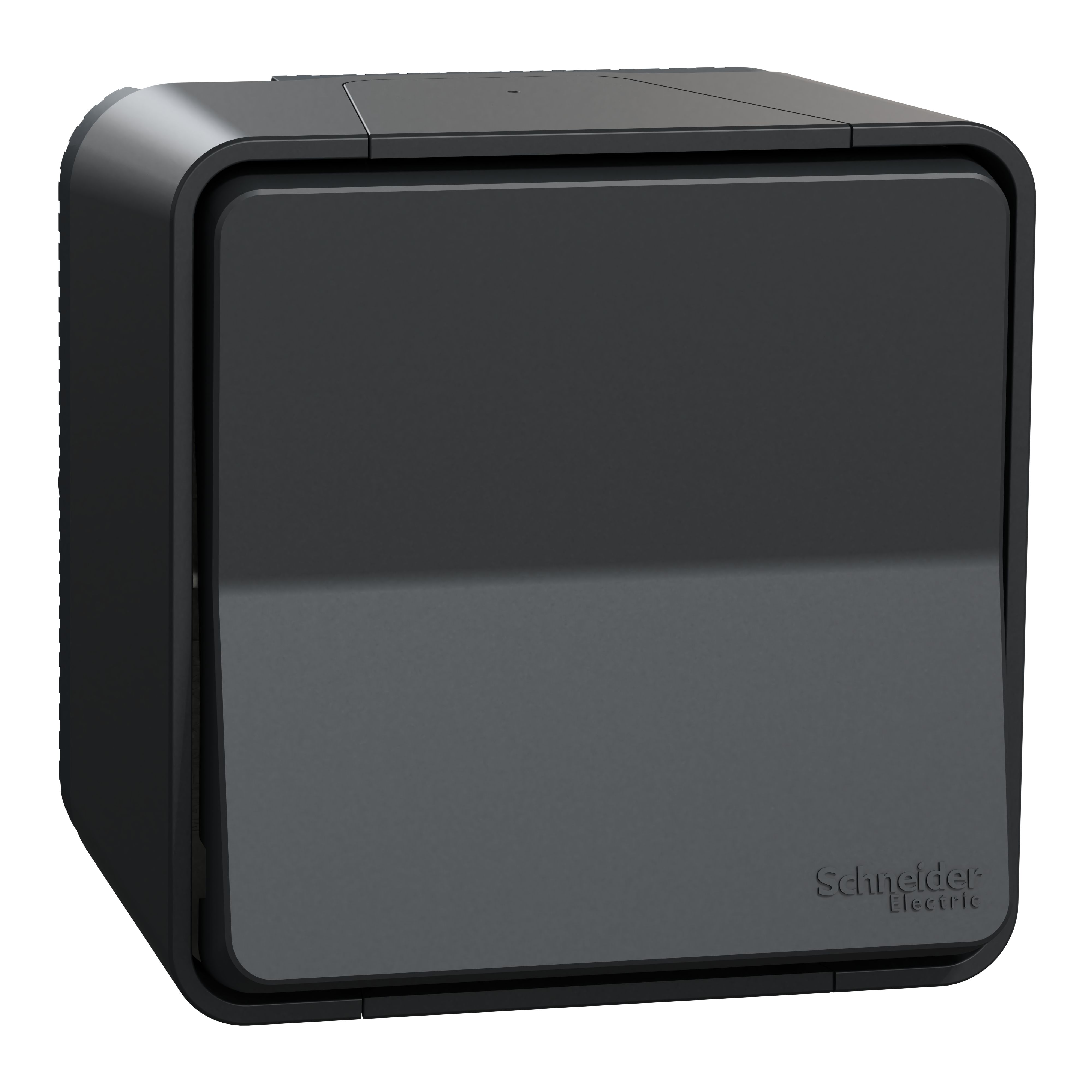 Schneider Electric Mureva Styl Series Light Switch, Surface Mount, 250V, IP55